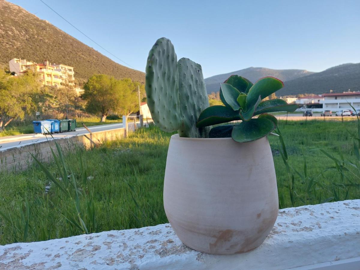 Vitamin Sea Apartment 4, Άνετο Διαμέρισμα. Almiropótamosz Kültér fotó